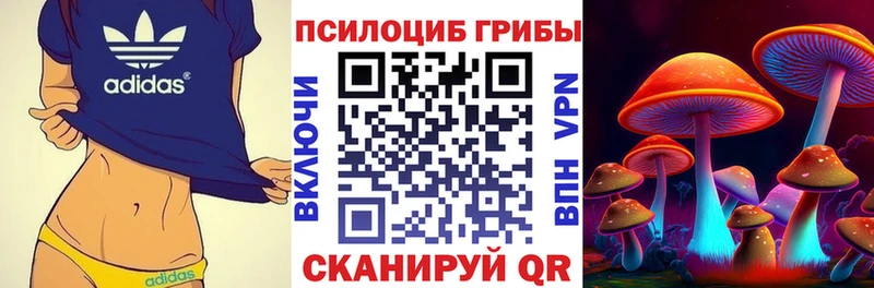 Купить  Фатеж  Галлюциногенные грибы GOLDEN TEACHER 
