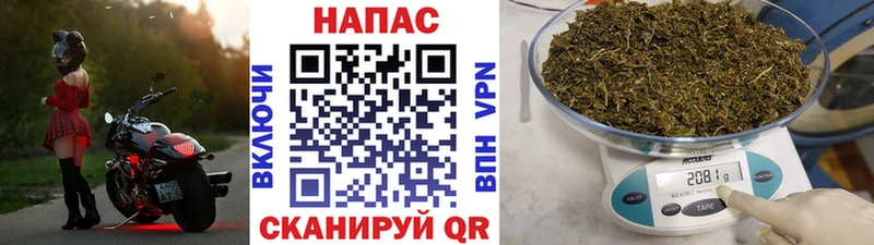 Купить закладки  Фатеж  Каннабис план 